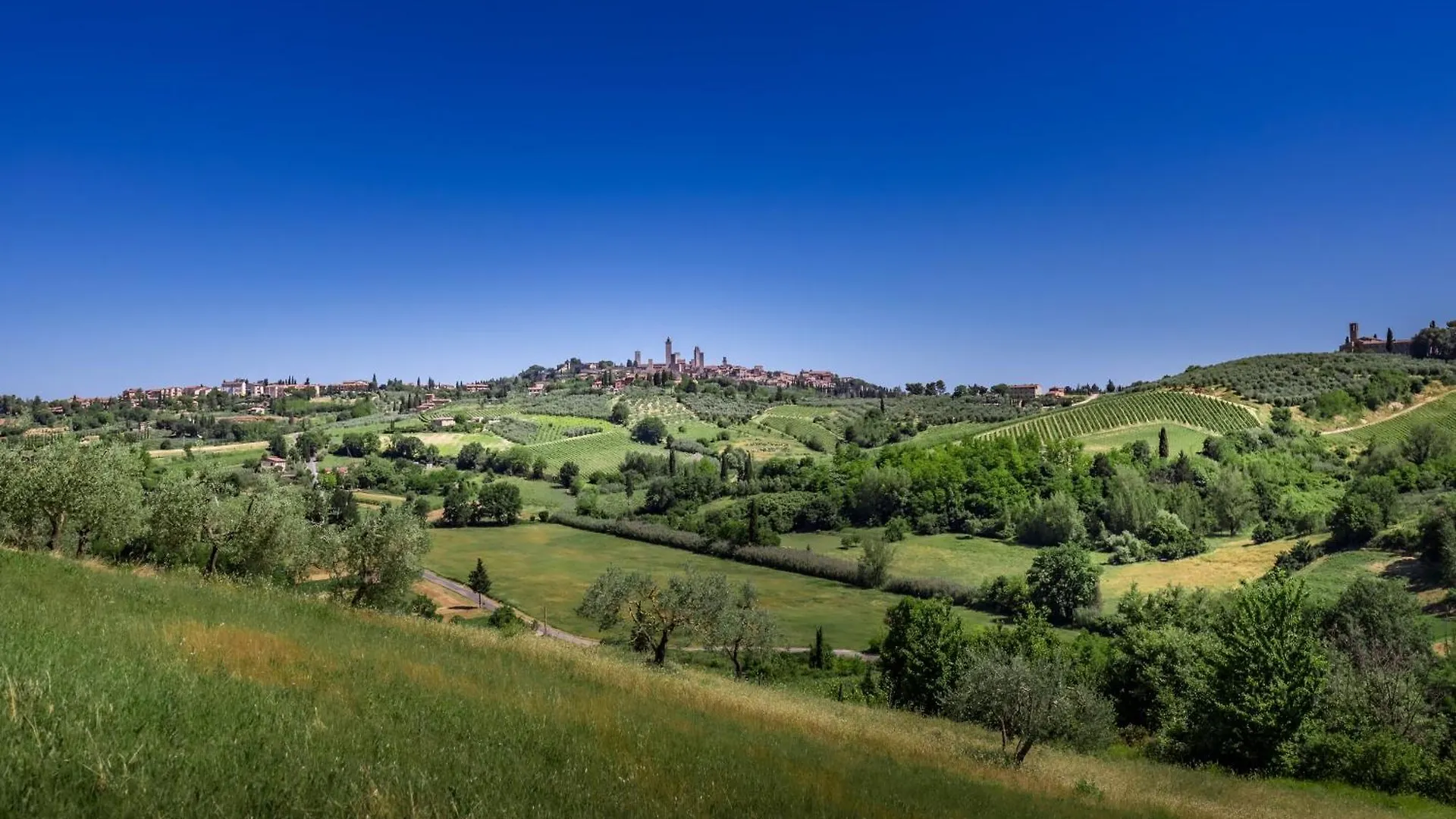Agriturismo Poggiacolle Villa San Gimignano Farm stay
