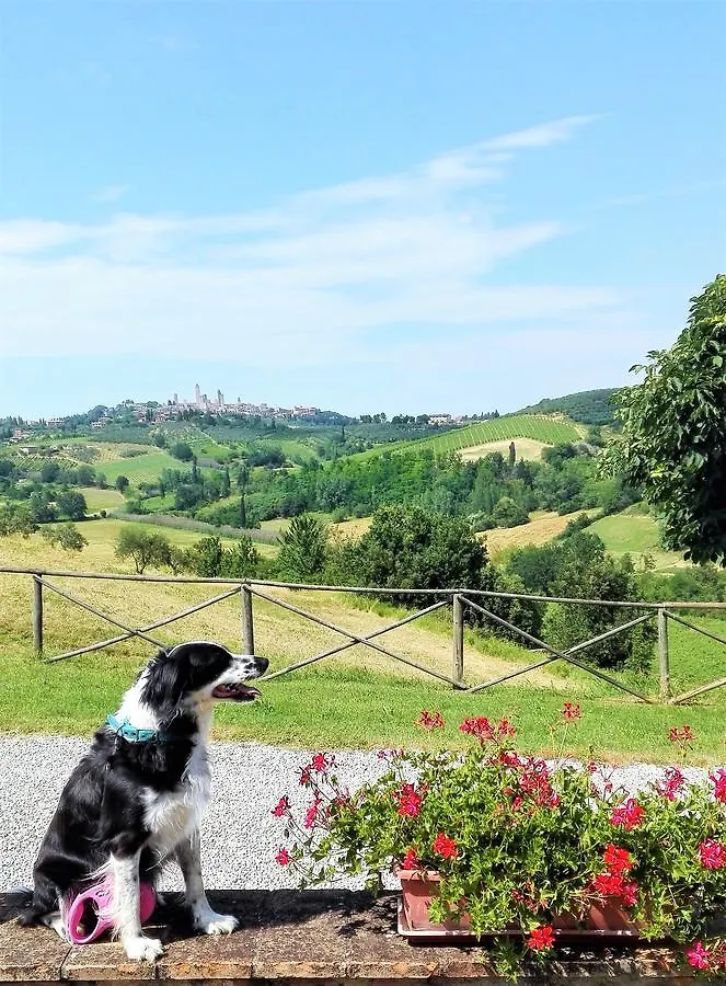 Agriturismo Poggiacolle Villa San Gimignano Farm stay